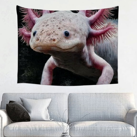 RKSupls Hanging Tapestry Wall Art, Axolotl Facts Tapestry Backdrop Decoration for Saint Valentine's Day Bedroom, Living Room, Dorm, Apartment Home Decor,40*30in