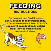 Temptations Jumbo Stuff Savory Salmon Flavor Crunchy And Soft Treats For Cats, 14 Oz Tub