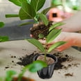 thumbnail image 4 of MERRYHAPY 20Ud Macetas Para Jardín Y Cultivo De Plantas En Interior Con Simple Y Negro, 4 of 7
