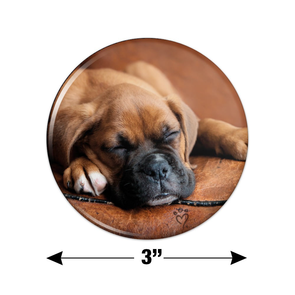 Boxer Puppy Dog Sleeping Leather Chair Button Refrigerator Magnet 