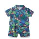 thumbnail image 1 of Odeerbi 1-8 Años Conjunto de Verano Para Niños de Hawaianos Camiseta de Manga Corta de Algodón Con Estampado Tropical Conjunto de Dos Piezas de Gráficos, 1 of 5