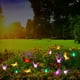 thumbnail image 4 of Guirnalda de Luces Solares Decorativas para Jardín, 12 Luces Led de Colores, 4 of 7