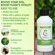 VermisTerra Vitality - 16 oz Worm Castings Super Concentrate, Plant Food, Promotes Health and Amazing Growth for Vegetables, Fruit, Houseplants - Non-Toxic, Living Enzymes, Gentle - Will Not Burn