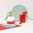 thumbnail image 4 of FUEENIRVA 5Pcs Faux Potted Succulent for Home Owners with Home Furnishing Style, 4 of 6