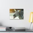thumbnail image 3 of Funny Zebra Silly Zebra Scene Outside Wall Art Ready to Hang Unframed, 3 of 7