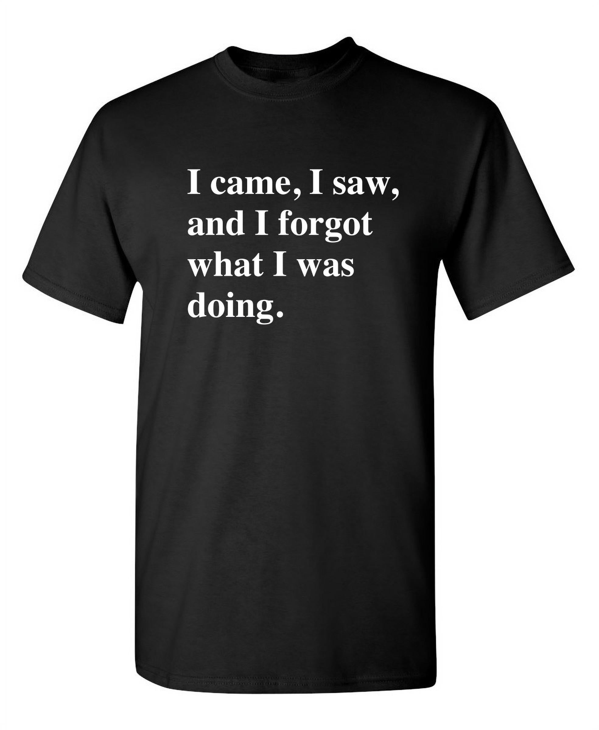 I Came I Saw I Forgot What I Was Doing Sarcastic Hilarious Tshirt Fit ...