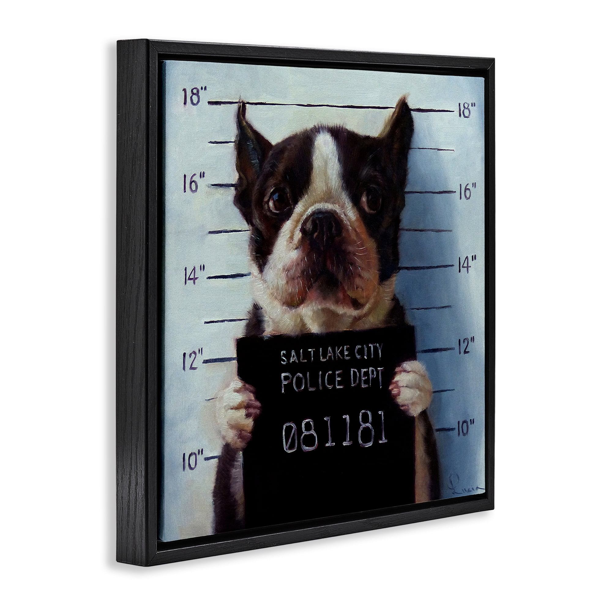 Stupell Industries Boston Terrier Jail Convicted Mugshot Animals & Insects Painting Black Floater Framed Canvas Art Print Wall Art, 25 x 25