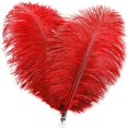 thumbnail image 1 of MesaSe Lot de 20 Plumes d'Autruche Rouge Naturelles 8-10 Pouces pour Décorations DIY Mariage Centre de Table, 1 of 6