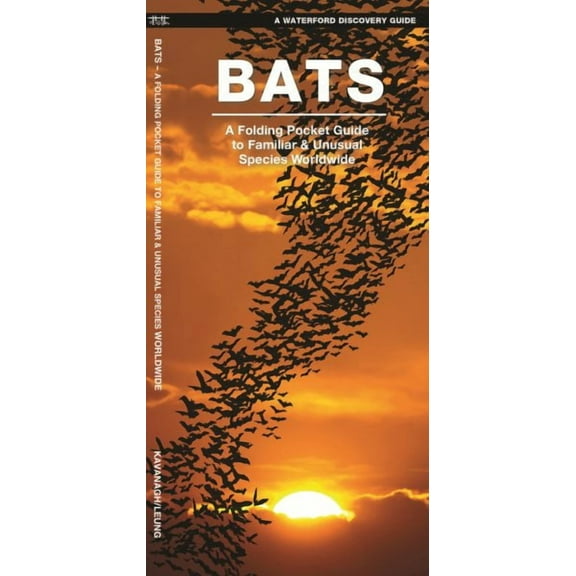 Bats : A Folding Pocket Guide to the Status of Familiar Species