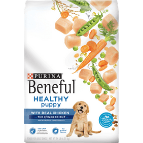 Purina Beneful Healthy Puppy Dry Dog Food 63 Lb Bag