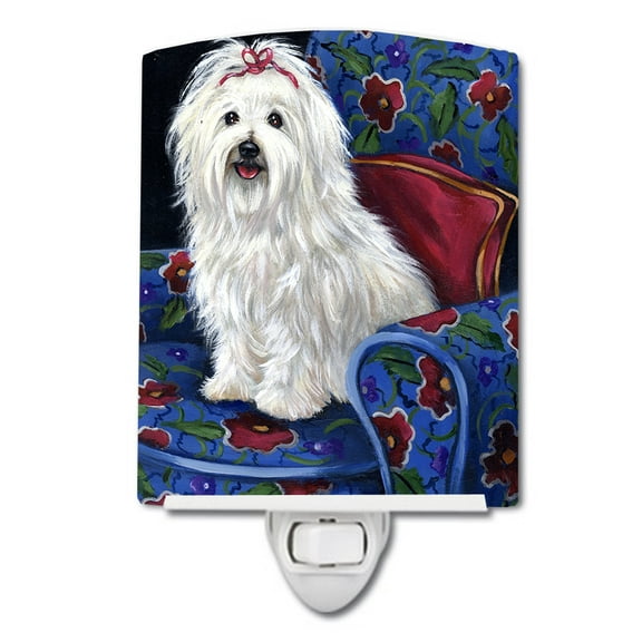 Caroline's Treasures PPP3079CNL Coton De Tulear Royalty Ceramic Night Light, 6x4x3", multicolor