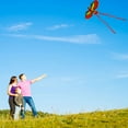 thumbnail image 3 of Flying 3D Cartoon Parrot Kite Children Outdoor Kids Toy Fun Activity Game Gift, 3 of 7