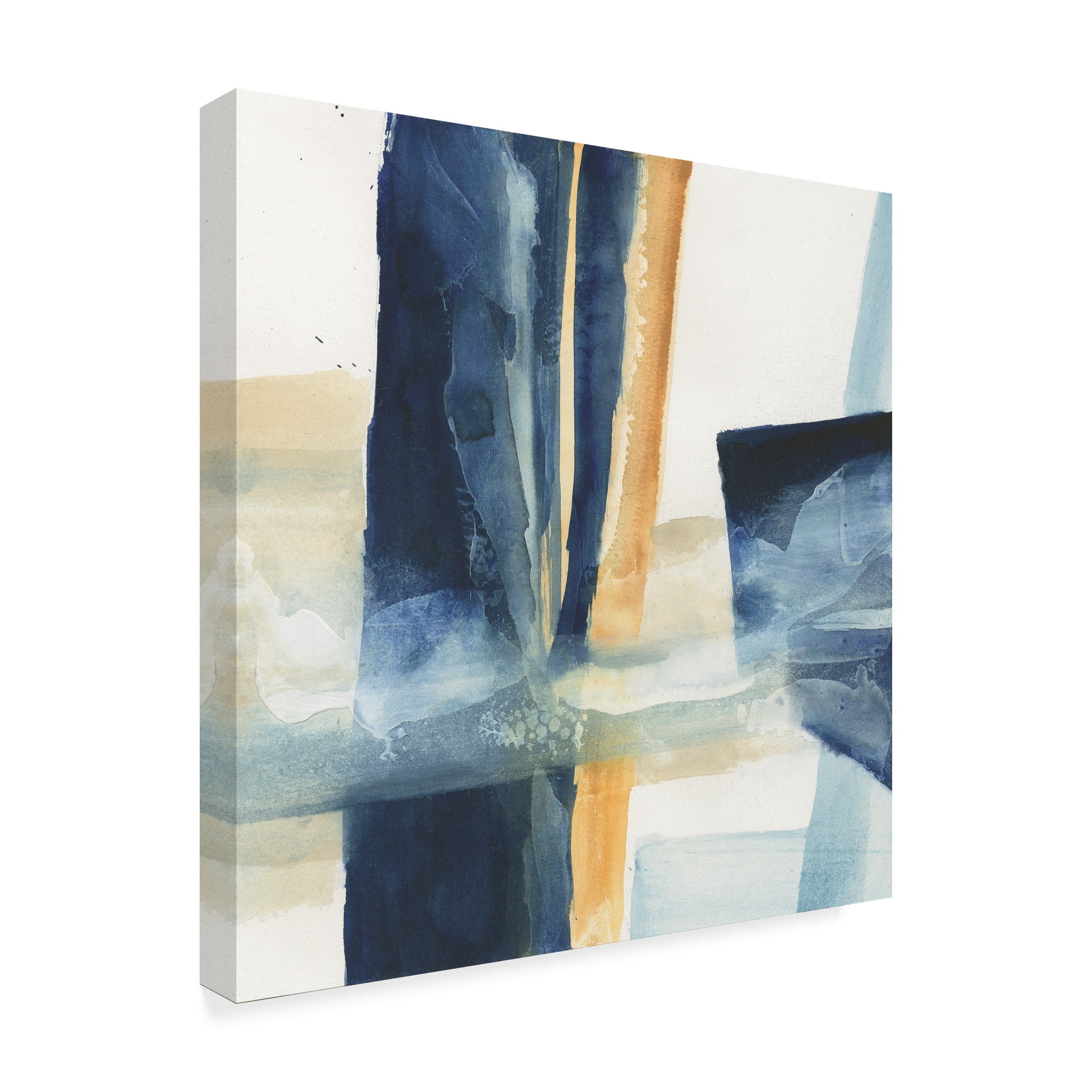 Trademark Fine Art 'Indigo IV' Canvas Art by Chris Paschke