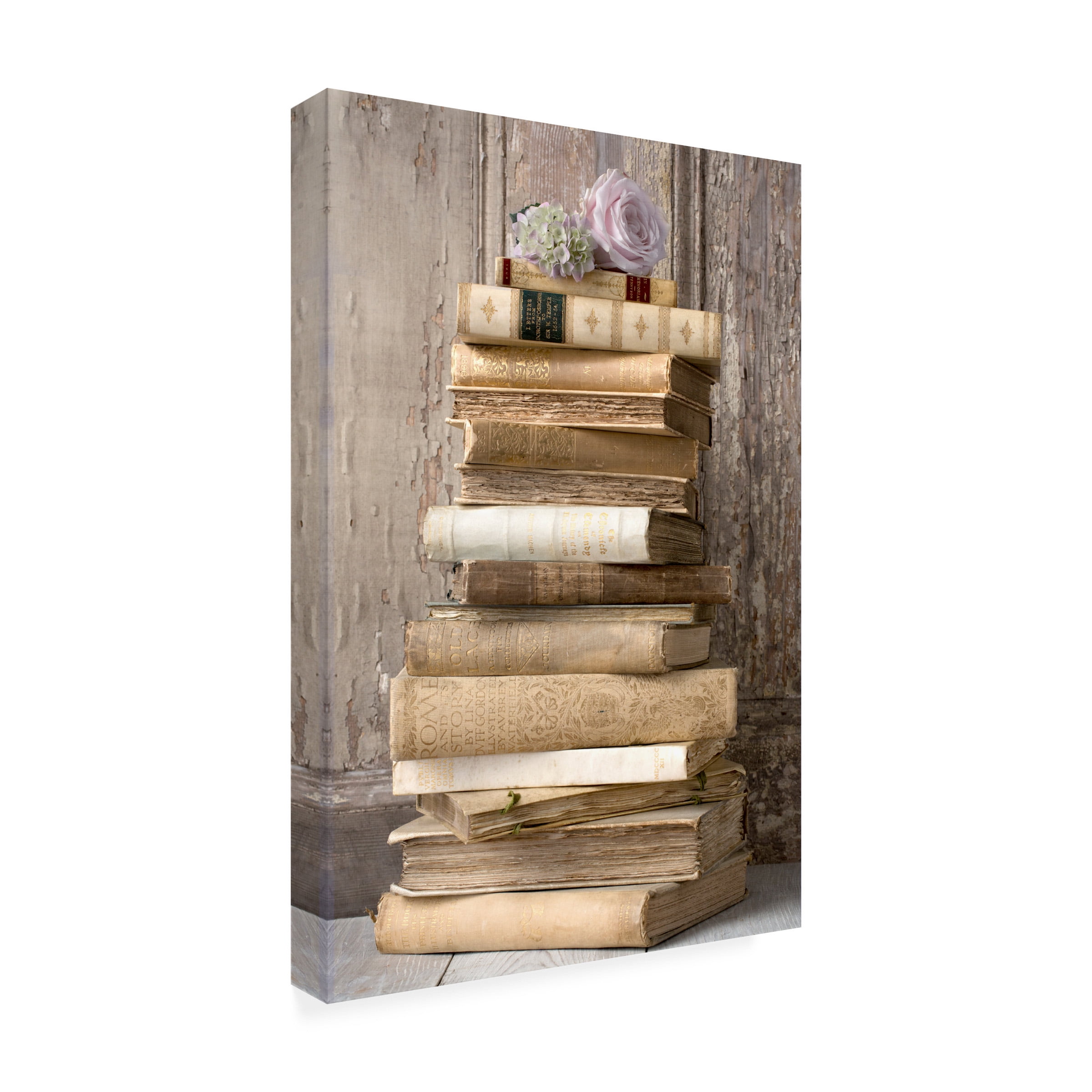Symposium Design 'Books I' Canvas Art
