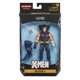 thumbnail image 1 of Original Marvel Legends X-MEN Age of Apocalypse 6 "figura de acción arma X bestia oscura Jean Grey niño salvaje Morph Sunfire Juguetes, 1 of 5