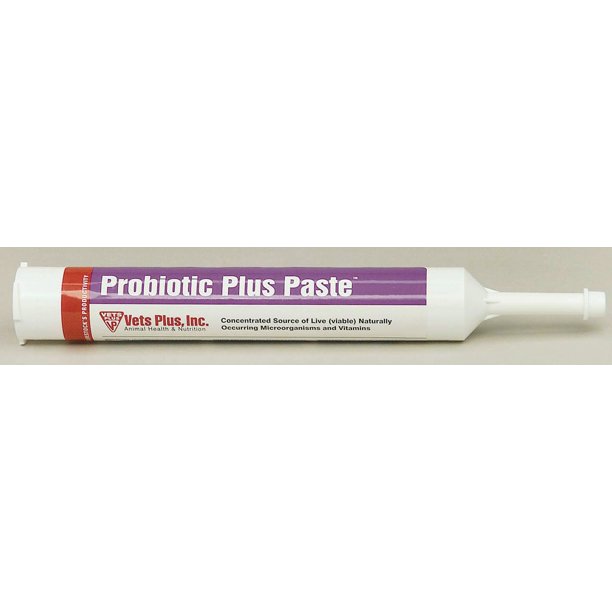 Vets Plus Probios D Probiotic Plus Paste 300 Milliliter