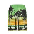 thumbnail image 3 of WAENQINLA Quick Dry Beach Swim Shorts for Men Tropical Print Drawstring Waist Swim Trunks Big and Tall Swimwear Bathing Suits, 3 of 4