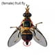 thumbnail image 5 of Trampa para mosquitos Sincero para interior y exterior 10 unidades color Verde, 5 of 10