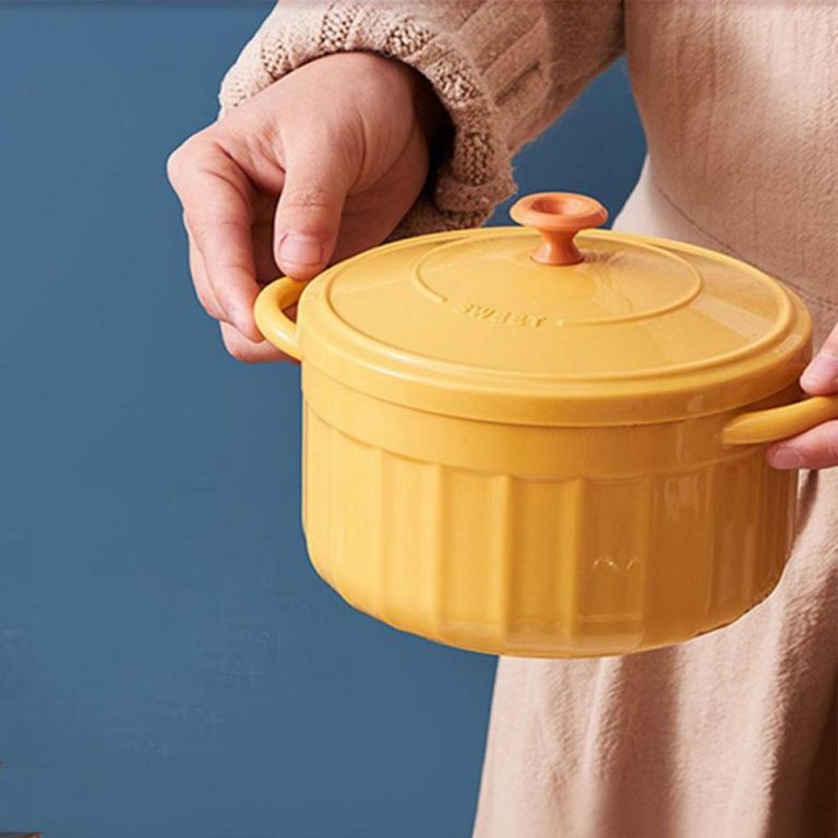 Food-Safe Plastic Noodle Bowl to Go with Lid and Handles - China