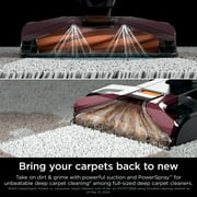 Shark CarpetXpert Spot & Stain Upright Carpet & Area Rug Cleaner, Upholstery, Pet Friendly, Carpet Shampooer, 3 Tools, Cleaning Solution, EX150 Magenta