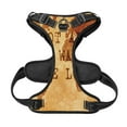 thumbnail image 5 of Lsque Not All Those Who Wander Are Lost2 Dog Harness, No-Pull Pet Harness with 2 Leash Clips, Adjustable Soft Padded Dog Vest with Easy Control Handle for Large Dogs-, 5 of 9