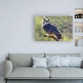 thumbnail image 3 of Trademark Fine Art 'Great Horned Owl On A Perch' Canvas Art by Mitch Catanzaro, 3 of 3