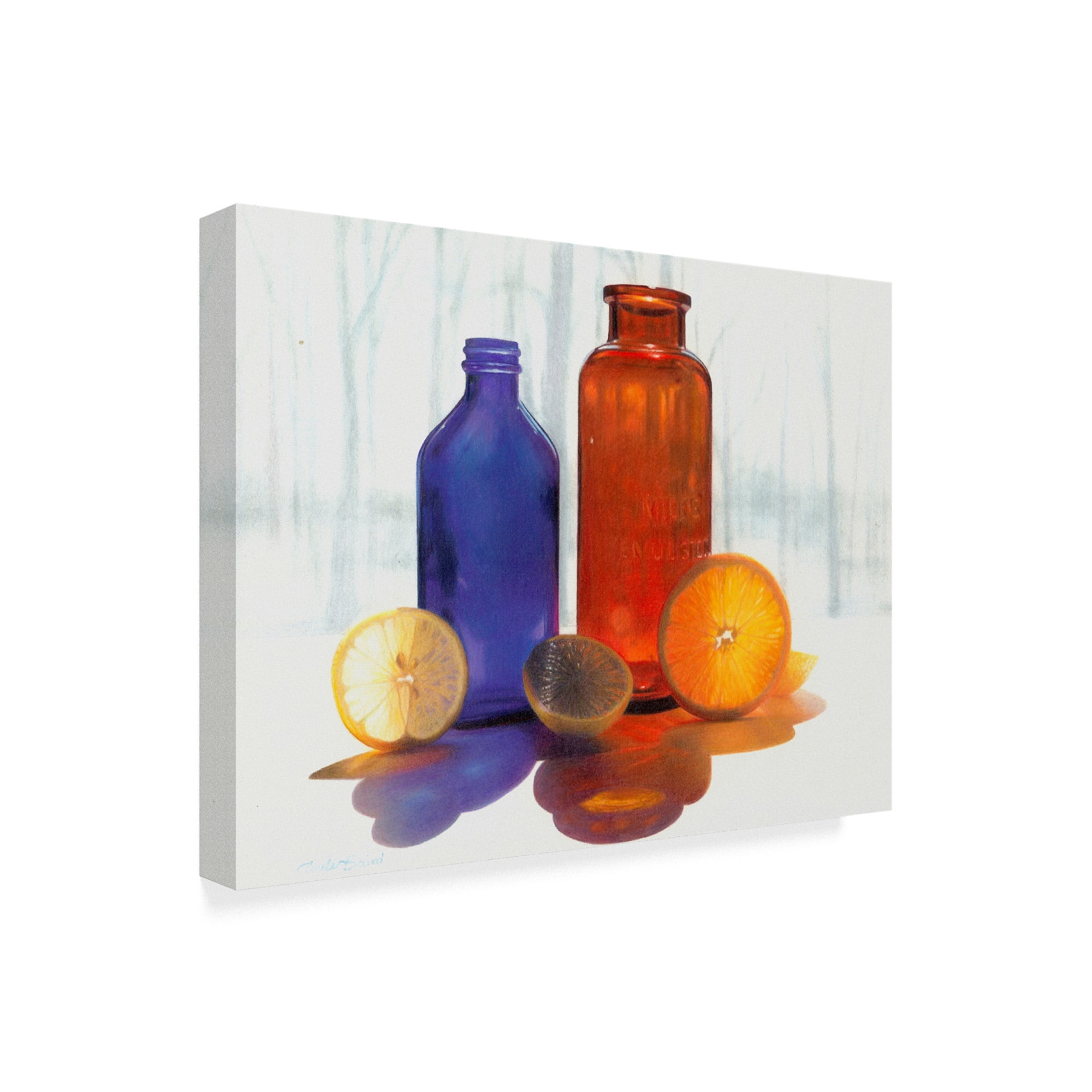 Trademark Fine Art 'Bottles and Slices final' Canvas Art by Cecile Baird