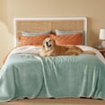 thumbnail image 1 of Manta impermeable para cama Sherpa, forro polar, color verde claro, 1 of 1