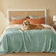 thumbnail image 1 of Manta impermeable para cama Sherpa, forro polar, color verde claro, 1 of 1