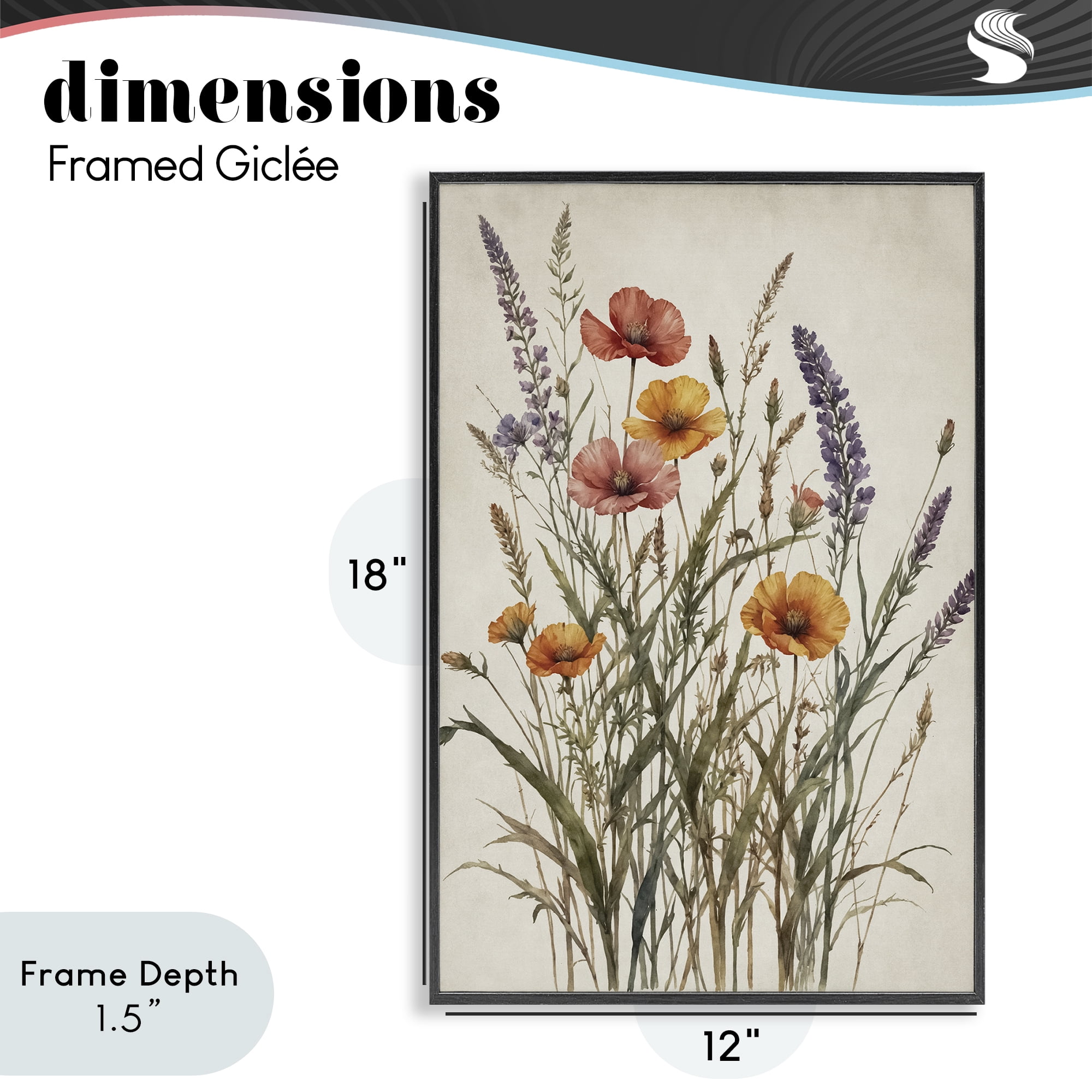 Stupell Industries Vintage Collection of Meadow Botanicals Black Framed Giclee Art, design by Nataly White