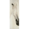 thumbnail image 2 of Atelier B Art Studio 9x18 Gold Ornate Wood Framed with Double Matting Museum Art Print Titled - Half Portrait of a Peaceful Horse, 2 of 4