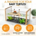 thumbnail image 3 of Turtle Aquarium Kit - New 2024 - Aquatic Turtle Tank with Filter and Light + Turtle Basking Platform, Small Turtle Tank for Baby & Juvenile Turtle, Perfect Turtle Starter Kit for Kids, 3 of 7