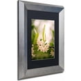 thumbnail image 2 of Trademark Fine Art 'Floral Tranquility' Canvas Art by PIPA Fine Art, Black Matte, Silver Frame, 2 of 4