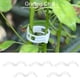 thumbnail image 2 of Clips para injertos, 100 Uds, Vegetales, árboles frutales, plántulas, vivero, Clips de plástico para injertos, Plantas, Herramientas de jardinería, 2 of 11