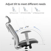 Sihoo High Back Lumbar Support and Breathable Computer Desk Chair, Light Gray