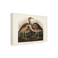 thumbnail image 2 of John James Audubon ' Bittern' Canvas Art, 2 of 3
