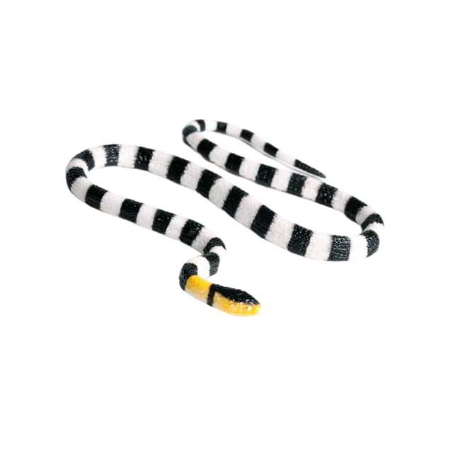 WEUVEB 1Pc Realistic Coral Snake Model Ornament for Home Office Decoration Made with Excellent Craftsmanship