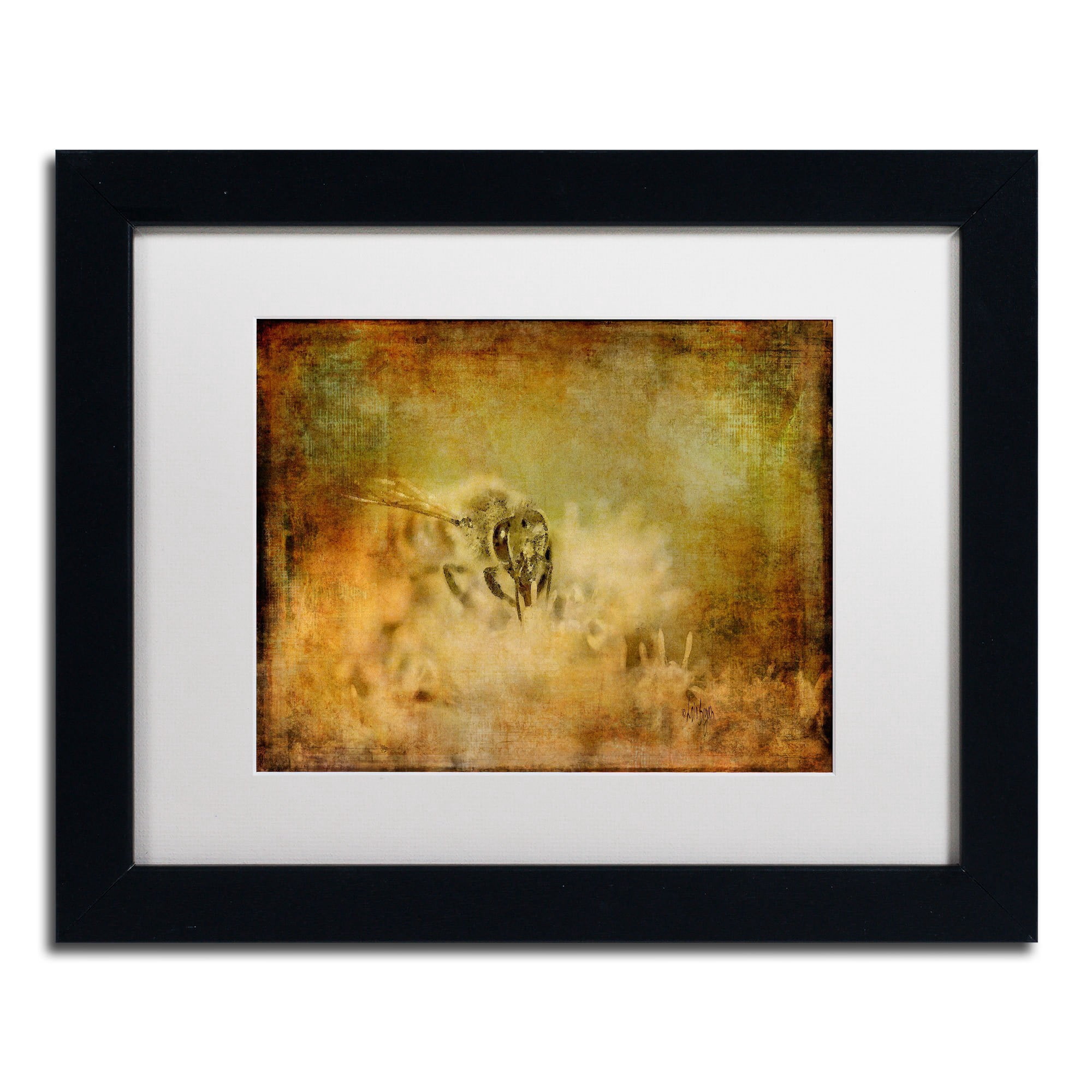 Trademark Fine Art Lois Bryan 'Send the Bees Love' 16 x 20 Framed Art Print (LBR0282-B1620MF)