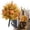 Orange-B, variant on Fall Garden Stakes Outdoor, Orange Pumpkin Accent Artificial Flowers Halloween 22.04in Height Thanksgiving Lawn Decor for Yard Pathway Planter Porch Fall Harvest Landscape Stake Ornament