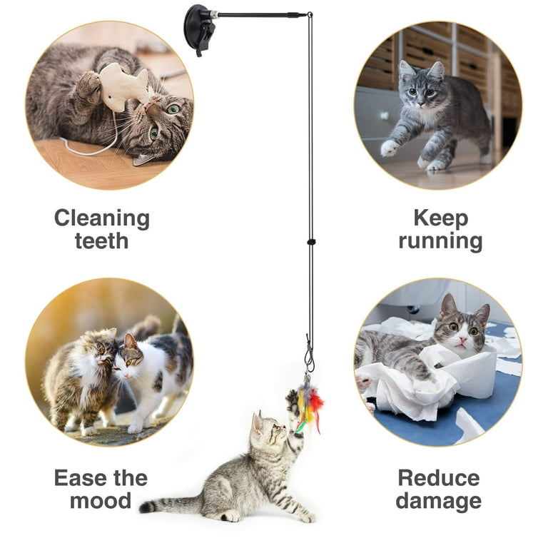 Felicity Suction Cup Cat Toy, 2 in 1 Interactive Bird Toy for Cats - 2  Strong Suction Cups, 9 Cat Feather Toys, 2 Durable Cat Wands, 1 Hanging Cat  Toy