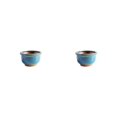 thumbnail image 3 of Yuarrent Ceramics With Raised Drainage For Succulents Breathable Crafts Bonsai With For Indoor And Decor Bonsai Crafts Style GRAMO 2piezas, 3 of 6