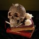 thumbnail image 2 of Modelo de calavera/cráneo humano a tamaño real: decoración del Día de los Muertos, 2 of 5