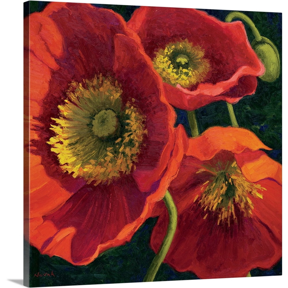 Great BIG Canvas quot Red Poppy Trio II quot Canvas Wall Art 30x30 