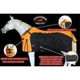 thumbnail image 5 of 60" 1200D Turnout Waterproof Rain Horse SHEET Light Winter Blanket  382B, 5 of 5