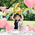 thumbnail image 5 of 3Pcs Dog Birthday Outfits Dog Girl Bandana with Hat and Dress Set,Puppy Birthday, 5 of 7