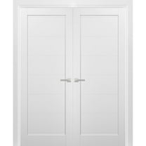 French Double Panel Doors 60 x 84 with Hardware | Quadro 4115 White Silk | Panel Frame Trims | Bathroom Bedroom Interior Sturdy Door
