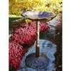 Lily Pad w Frog Bird Bath in Antique Bronze Finish