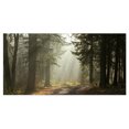 thumbnail image 2 of Dark Green Forest with Sun Rays - Landscape Photography Canvas Print, 2 of 3