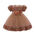 thumbnail image 2 of EnJoCho Girls Sequin Dress Puff Short Sleeve 3D Rose Waist Tulle Formal Gown For Little Girls Toddler Wedding Birthday Party Holiday Princess Dress, 2 of 5