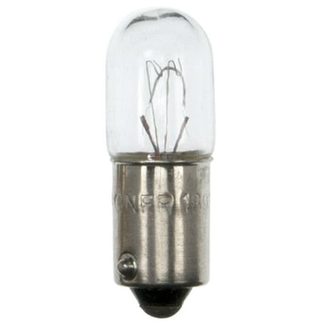 

2 Pack 1893 12V Auto Lamp